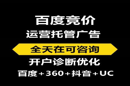 企业SEM服务实战案例解析